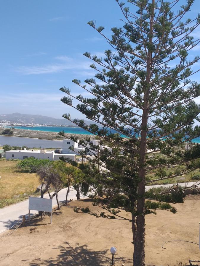 Panoramic View Apartman Ájosz Prokópiosz Kültér fotó